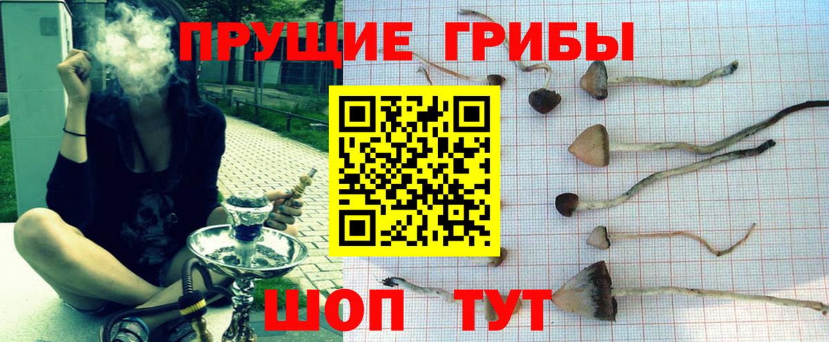 Новодвинск  Галлюциногенные грибы прущие грибы  Вход с VPN 